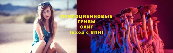 2c-b Богданович