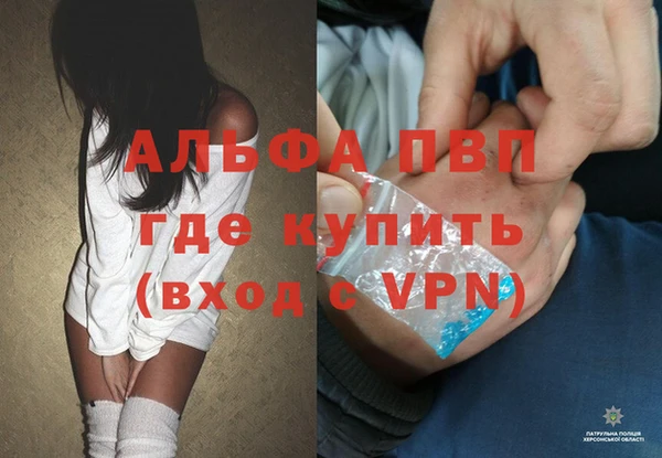 эйфоретик Ладушкин