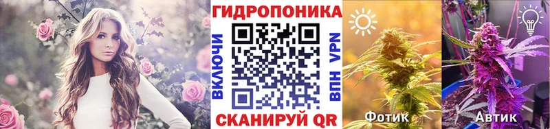 цены наркотик блэк спрут онион Бошки Шишки VHQ Павловск